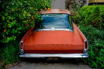 L1029854 - Copy.jpg